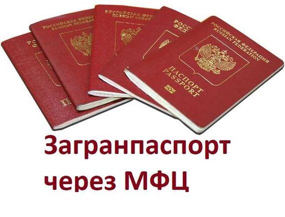 прописка в Стародубе